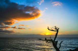 17 Mile Drive Sunset-0185